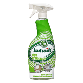 Płyn czyszczący LUDWIK all purpose cleaner 750ml.