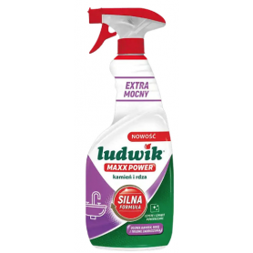 LUDWIK kamień i rdza Maxx Power 600ml.