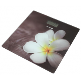ŁUCZNIK waga łazienkowa BS-973 W14  plumeria biała 