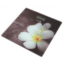 ŁUCZNIK waga łazienkowa BS-973 W14  plumeria biała 