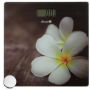 ŁUCZNIK waga łazienkowa BS-973 W14  plumeria biała 